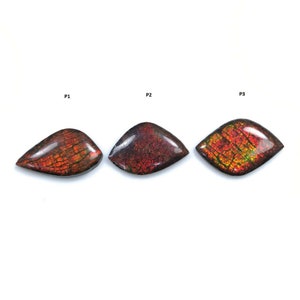 AMMOLITE Gemstone Cabochon : Natural Fossilized Shell Multi Color Ammolite Uneven Shape Cabochon 23.5*15mm -  26*16mm 1pc