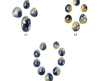 Fatias de Safira Multicor com Corte Rosa: Safiras Naturais Bicolores Não Tratadas, Formato Oval, Lotes de 4, 6 e 9 peças