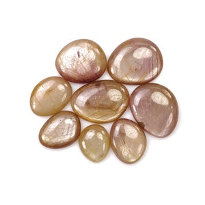 ORANGE Sheen SAPHIRE Edelstein Cabochon: 46.15cts Natürliche Unbehandelte Saphir Unebene Form 11 * 9 mm - 16 * 13 mm 8Stk