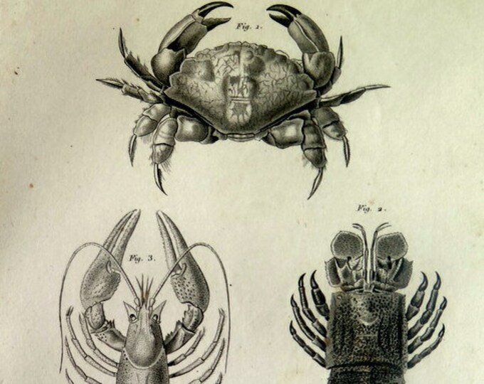 Dieser Artikel ist nicht verfügbar | Etsy