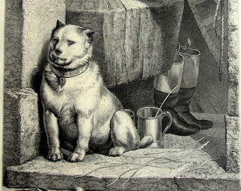 Curious antique vintage dog print, 1863 rare original dog plate, the servant  dogs engraving, dog pet illustration.