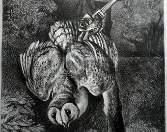 This engraning from 1877 shows tram of barn owl - rare colossal print, curious hunting owls. animals in danger.