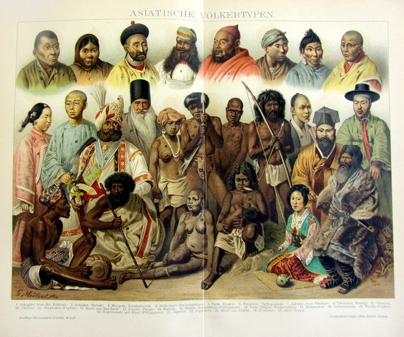 5 human races