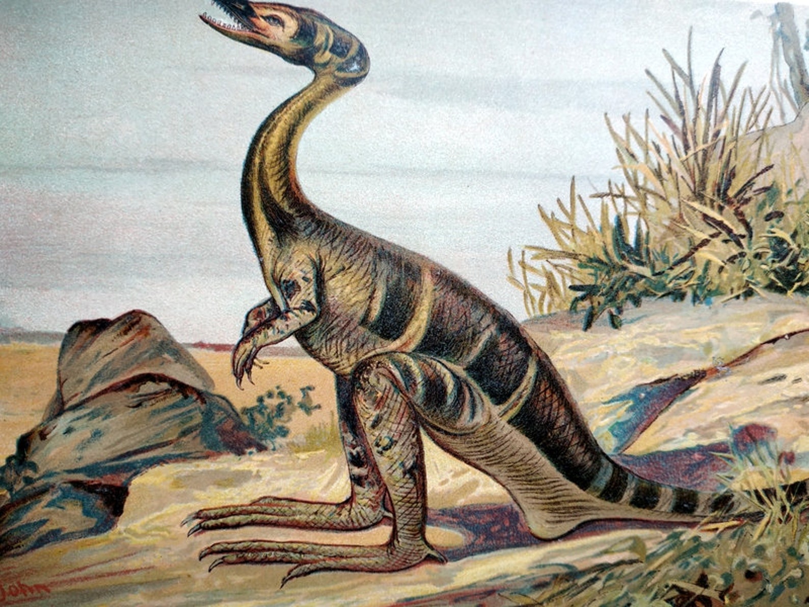 dino dan compsognathus