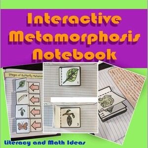 Cuaderno/Lapbook Interactivo Metamorfosis