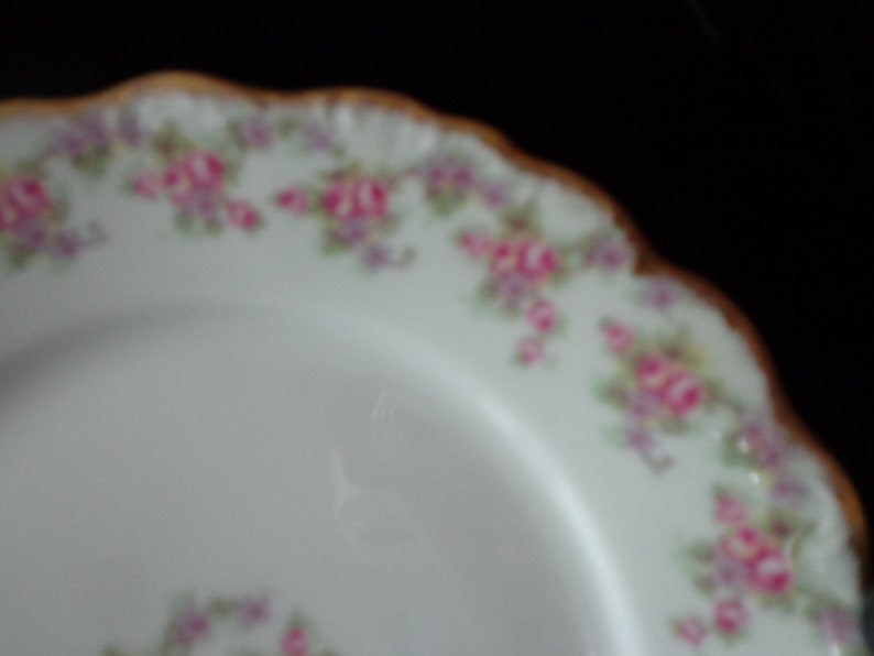Antique Pink Roses China Plate Bawo /& Dotter Bridal Wreath Salad Dessert Plate 7 12 Elite Works Limoges France Mini Pink Roses Fine China