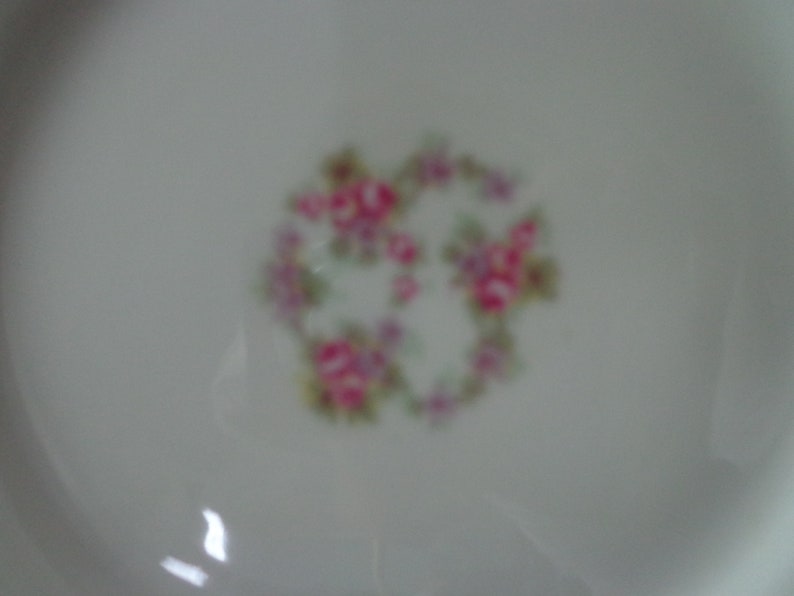 Antique Pink Roses China Plate Bawo /& Dotter Bridal Wreath Salad Dessert Plate 7 12 Elite Works Limoges France Mini Pink Roses Fine China