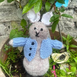 May include: A knitted bunny wearing a blue cardigan with black buttons. The bunny is sitting in a pot with green plants.