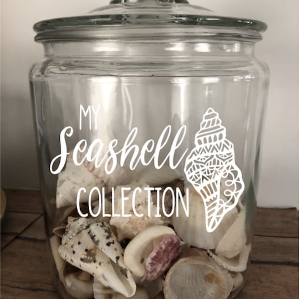 Seashell Collection Holder, Seashell Keepsake, Beach Treasures, Beach Jar, Glass Jar for Shells, Seashell Jar, Seashell Decor, Beach Decor