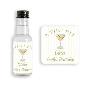 A Tini Bit Older Martini Birthday Mini Liquor Bottle Stickers, Mini Alcohol Bottle Labels, Birthday Party Favors, Shooter Labels, V1