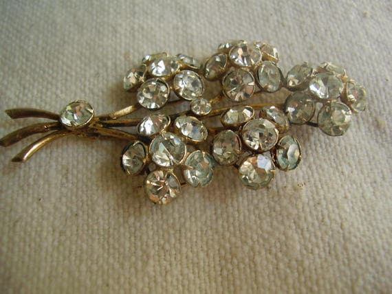 ladies brooch