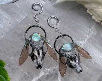 Hedgehog Skull Ear Weights: Gothic Oddity Earrings with Labradorite & Cicada Wings