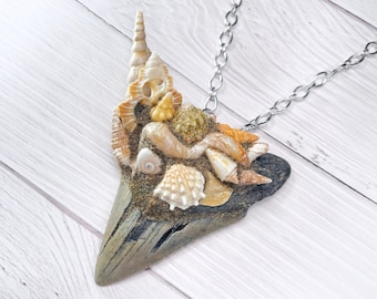 Seashell Encrusted Megalodon Tooth Pendant: Fossil Shark Tooth Necklace