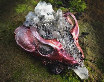 crystallized skull etsy