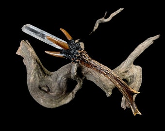 Roe Deer Antler Wand with Natural Clear Quartz Point