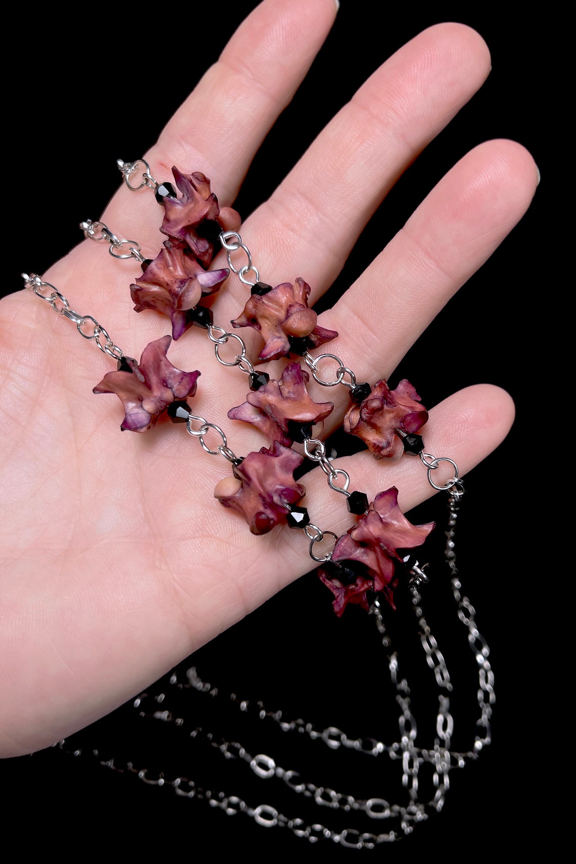 Snake Vertebrae Necklace Vertebrae Jewelry Real Vertebra Etsy