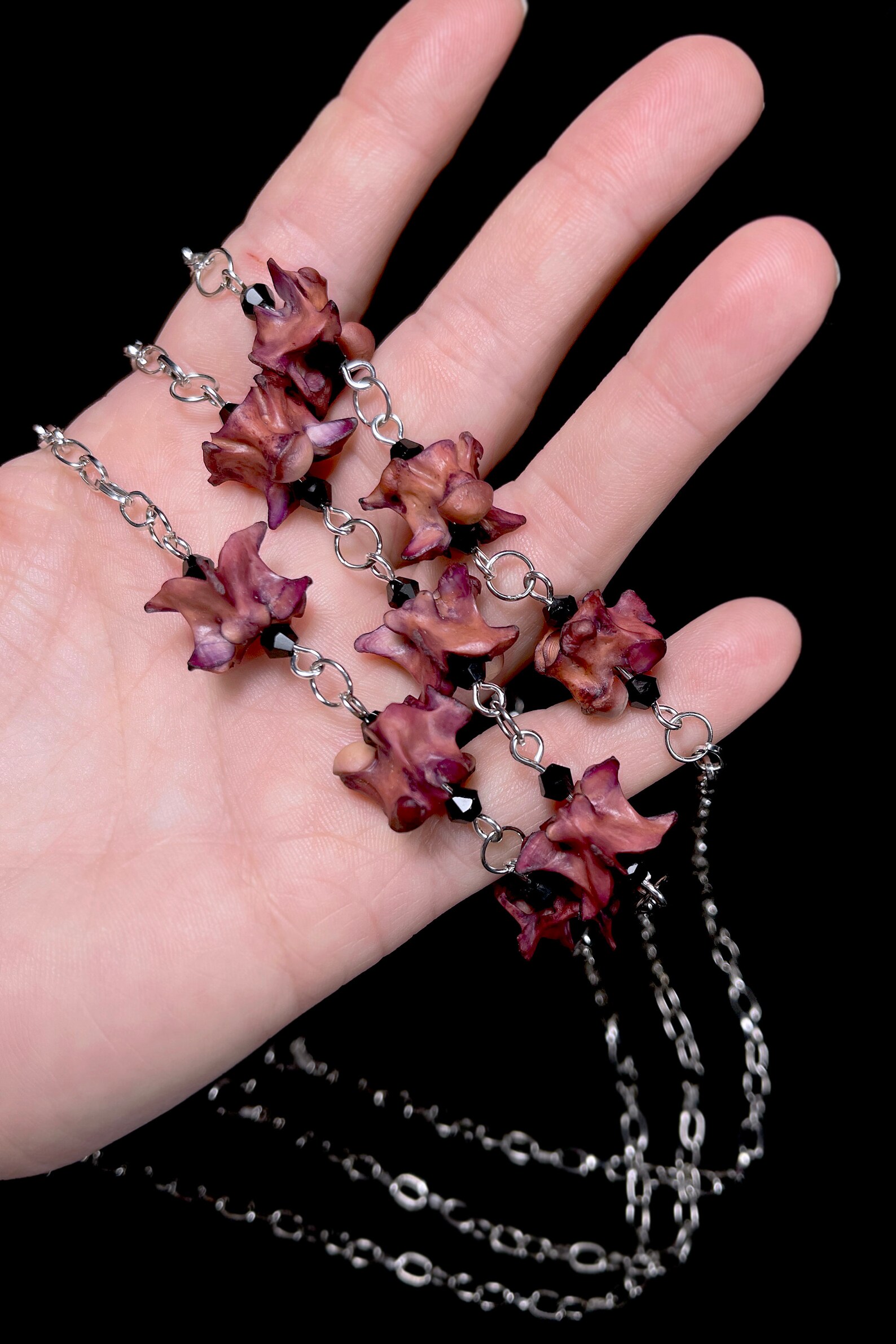 Snake Vertebrae Necklace Vertebrae Jewelry Real Vertebra Etsy