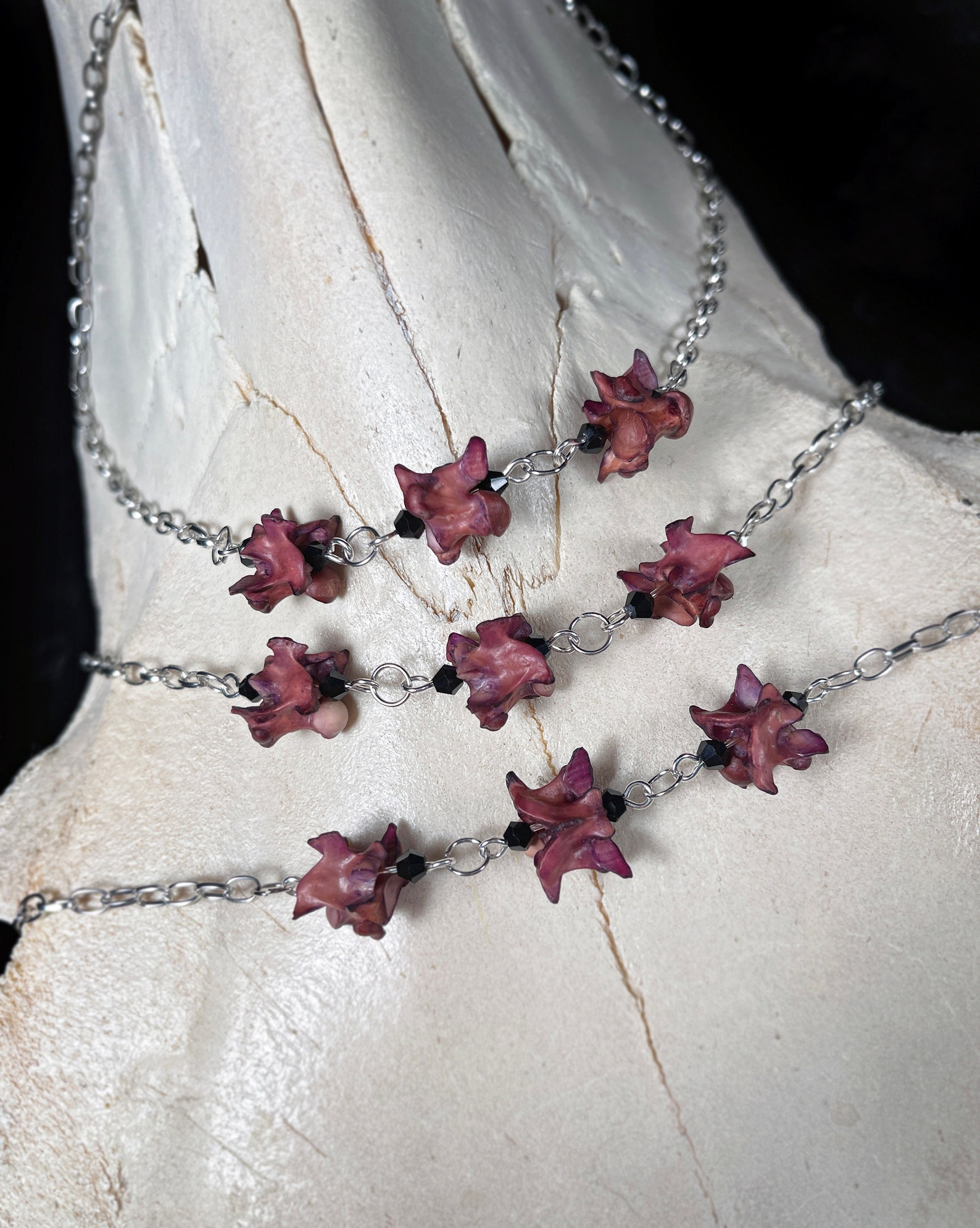 Snake Vertebrae Necklace Vertebrae Jewelry Real Vertebra Etsy