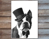 Boston terrier print, boston terrier illustration, animals in suit, dog with suit print, boston terrier wall art, portrait 8 x 10 inches