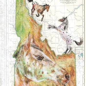 Appaloosa Pferde