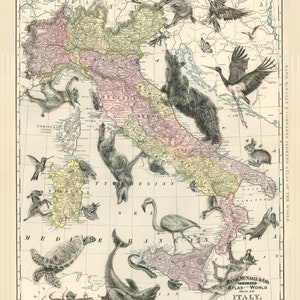 Tiere in Italien