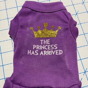 TINY dog t-shirt dresses