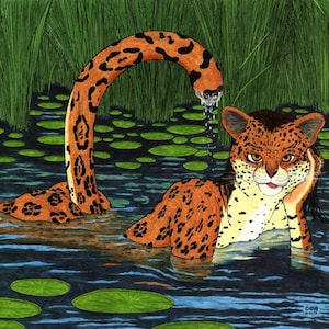 May include: A jaguar with a spotted coat is submerged in a pond with lily pads. The jaguar's tail is curled above the water, creating a fountain-like effect. The jaguar has a relaxed expression and is resting its head on its paw.
