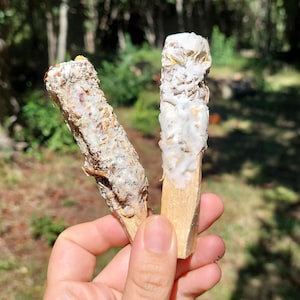 Palo Santo Incense Stick with Soy Wax and Herbs – 2 Natural Blends