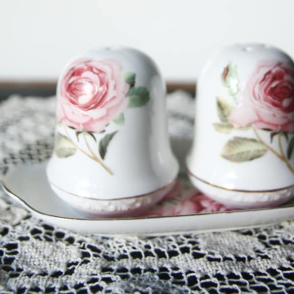 Menage vintage salt and pepper table, Wellington Castel porcelain with rose motif, two dispensers with saucer, salt shaker and pepper