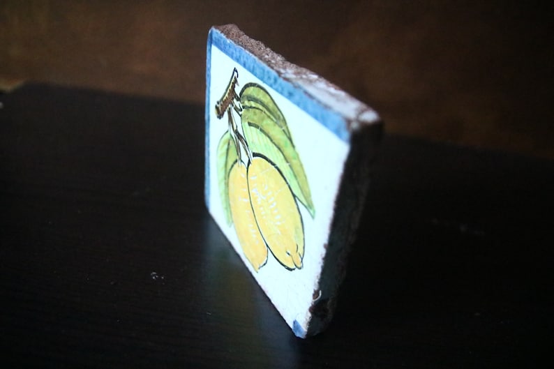 Handmade vintage ceramic tile hand-painted plants lemons citrus decoration, decorative tile image 7