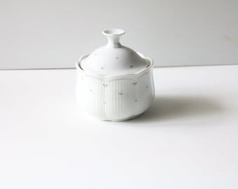 Small vintage container with lid in porcelain with small delicate jasmines