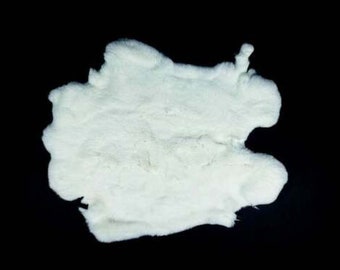 Rex Rabbit #1 White: Size AA Pelt Skin (142-11AA) Y1J