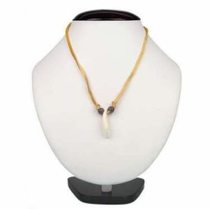 Real Coyote Tooth Necklace: 1-Tooth (560-901) Y2H