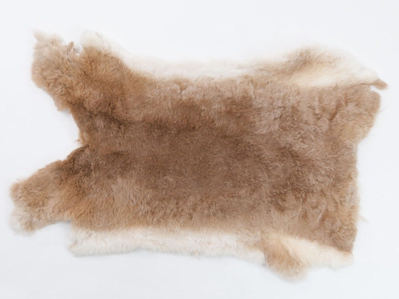 Rex Rabbit Skin: Natural Brown and hotsell White, Beige (142-12-G1353) EB