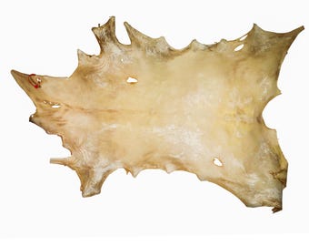 Deer Rawhide #1 Grade: Bleached (55-40-1B-G2823)