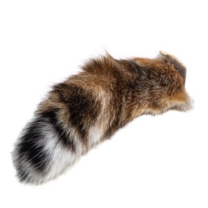 Real Bobcat Tail (18-04) Y2K