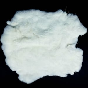 Rex Rabbit #1 White: Size A Pelt Skin (142-11A) Y1J