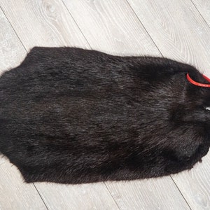 May include: A dark brown beaver fur pelt with a red plastic tie.