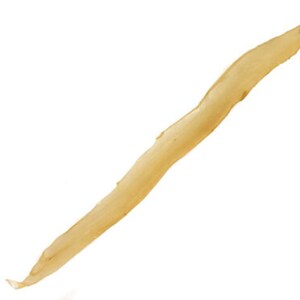 May include: A long, thin, light brown piece of dried fish skin.