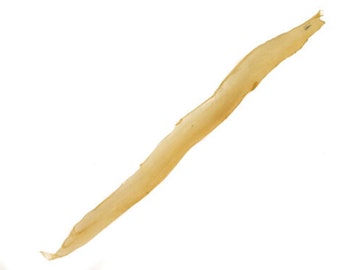 Deer Backstrap Sinew: 19"-24" (287R-25)