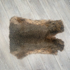 Jumbo Czech Rabbit Skin #3 quality: Natural Brown Color (283-3-CZN-G4828) Y2I