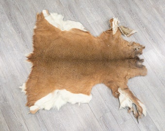 White Tail Deer Hide: #2 (39-02-G6081)