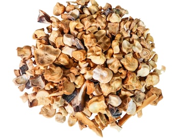One Pound of Real Assorted Deer Bones (1180-SB-DEE1)