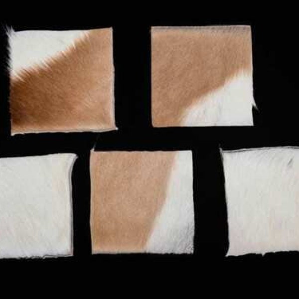 Natural Springbok Skin 4”x4” Project Pieces (5 pieces) (155-PP-0404) Y2P