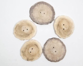 Five (5) 2.0-2.5" Cross-Cut Two-Hole Moose Antler Buttons (38-R-2.0) Y2I