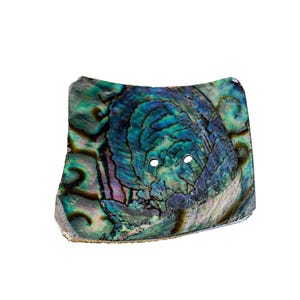 May include: A square-shaped button crafted from iridescent abalone shell, featuring a natural, swirling pattern of deep blues, greens, and purples. The button has two small, centered holes for attachment and a smooth, polished surface finish.