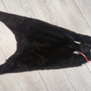 May include: A dark brown fur pelt with a red string attached to it.
