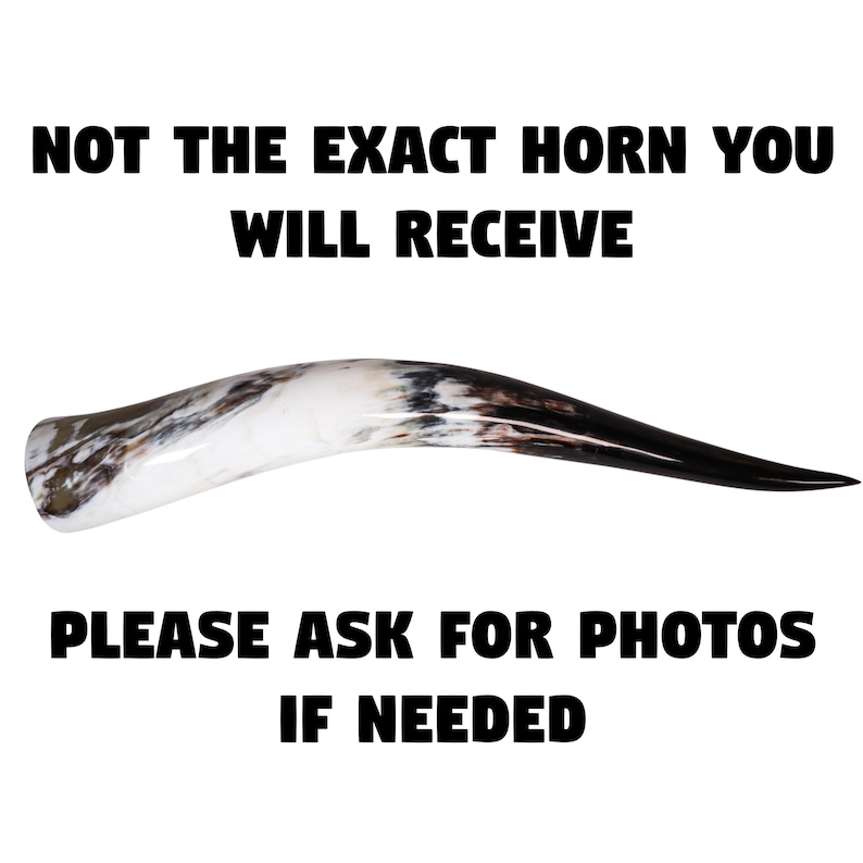 May include: A curved horn with a polished finish, featuring a blend of white, brown, and black hues. The text "NOT THE EXACT HORN YOU WILL RECEIVE" and "PLEASE ASK FOR PHOTOS IF NEEDED" is displayed.