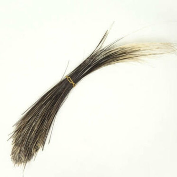 African Porcupine Hair (per oz) (184-03) Y2K