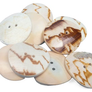 Clam Shell Button 1.5&quot; in lots of 10/25/50 (491-1.5) Y2L